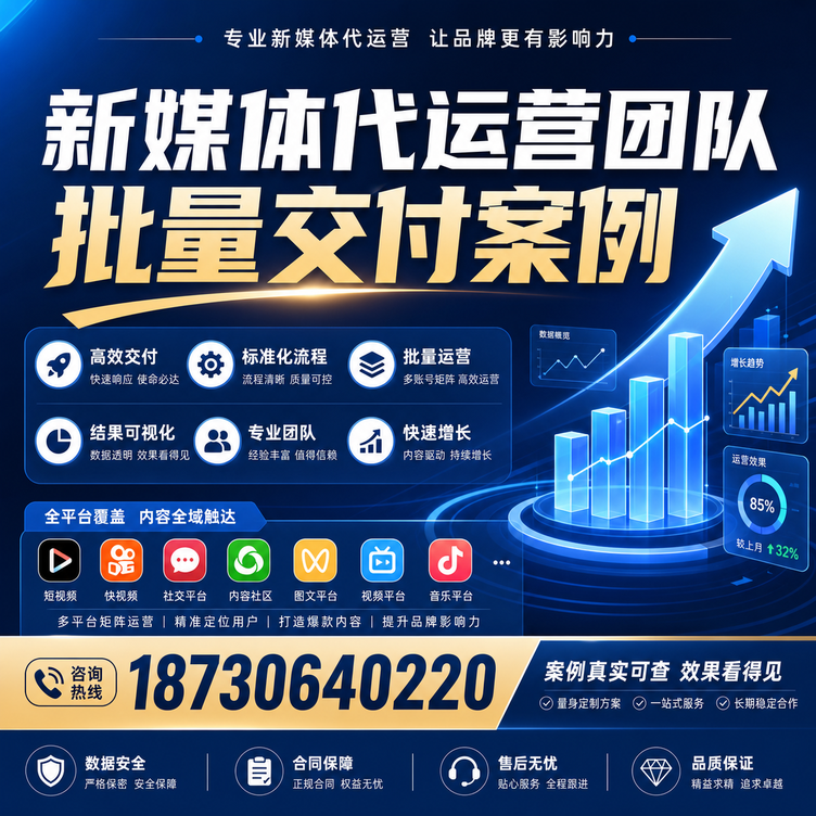 固原代运营公司多客户账号批量高效交付案例